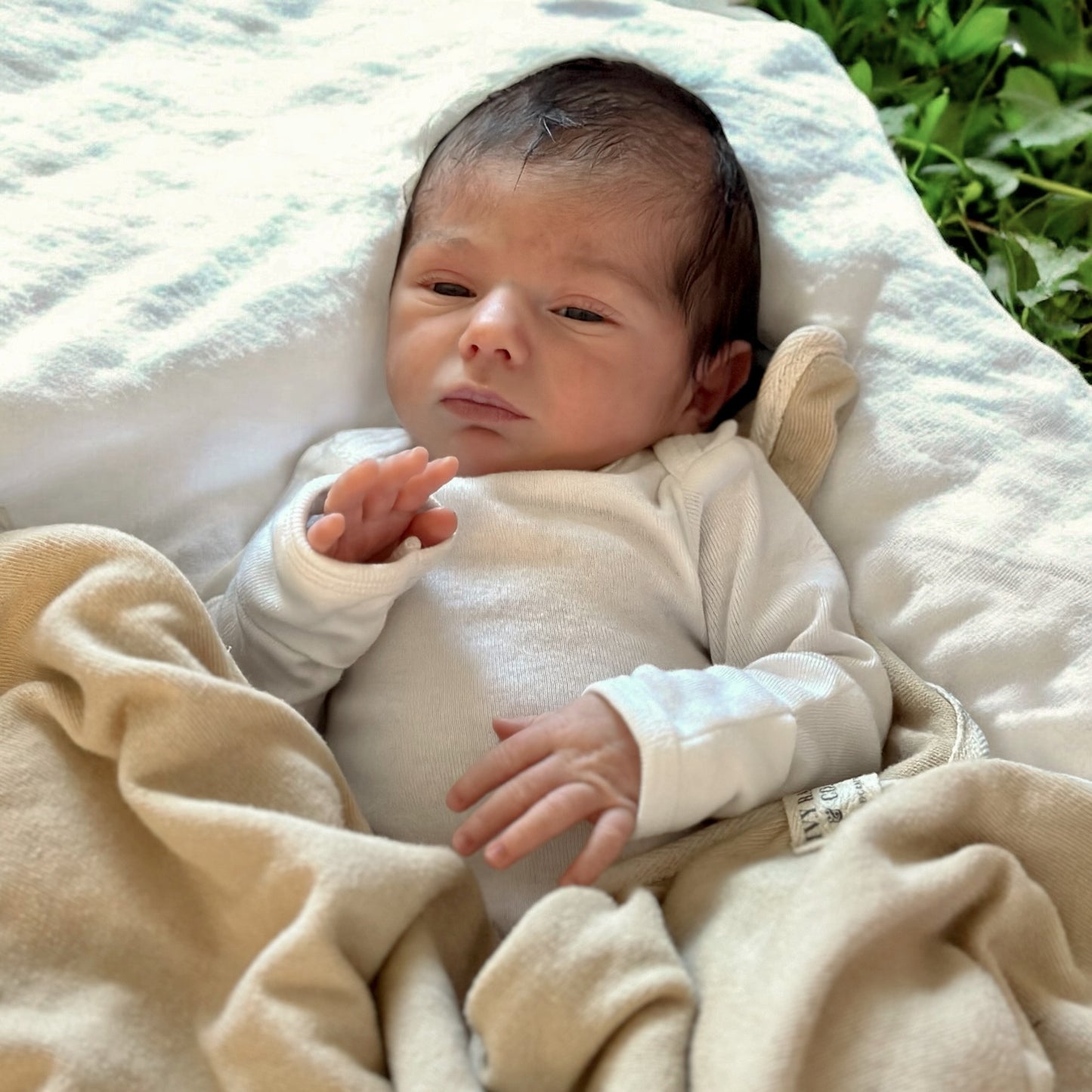 Organic Baby Blanket
